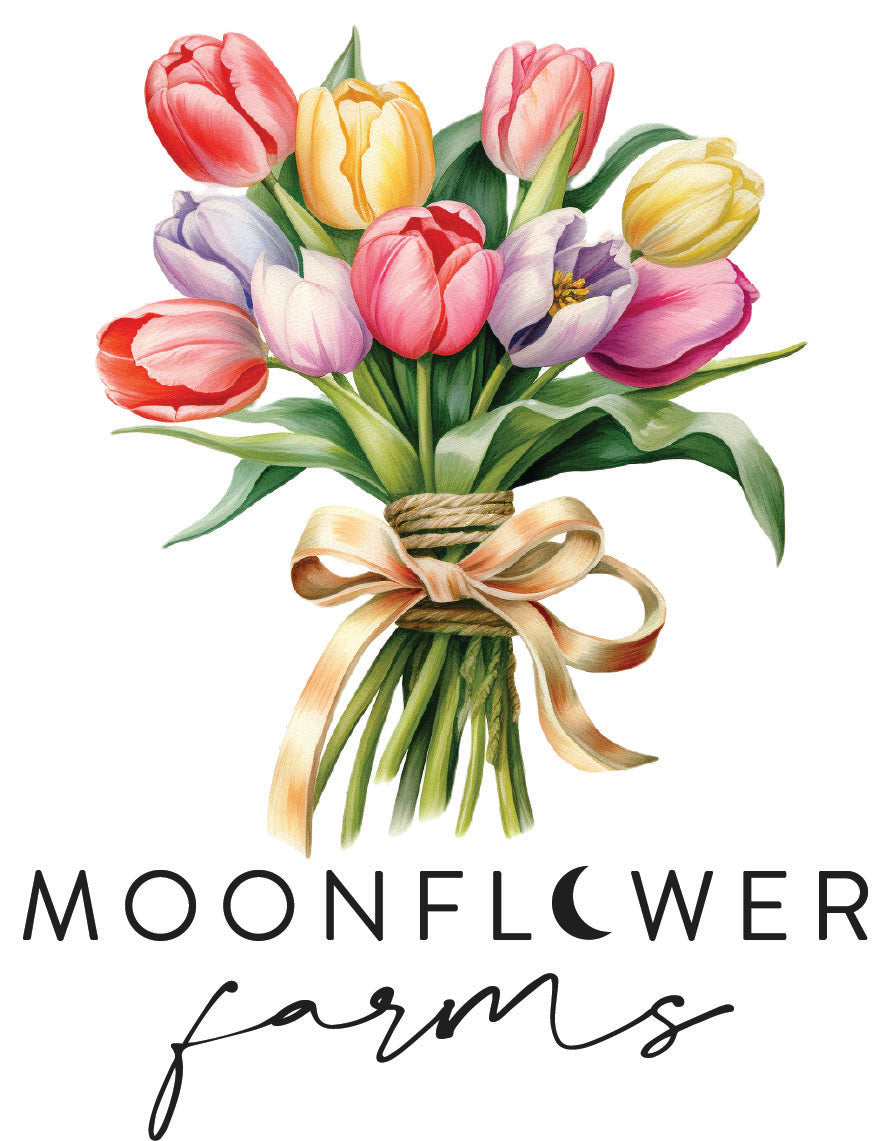 Short Sleeve Comfort Color - Chambray or Butter - Moonflower TULIPS 2025